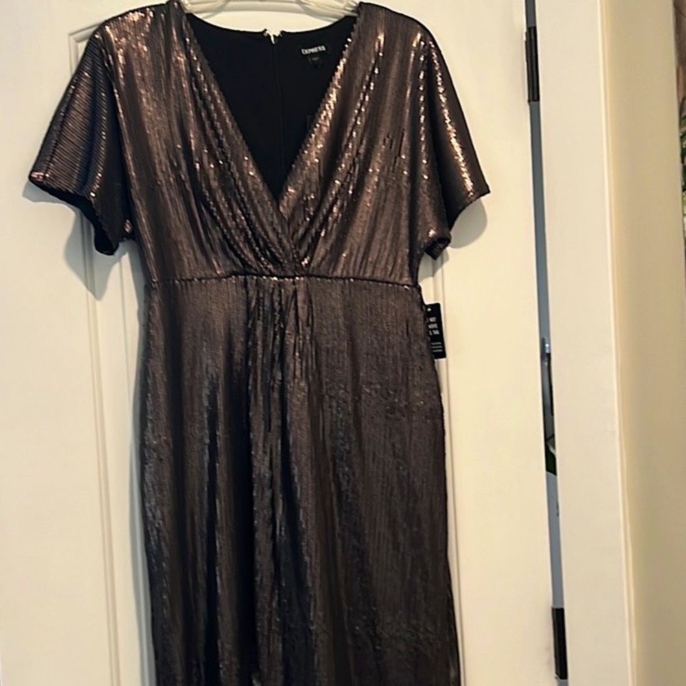 NWT Express Dress